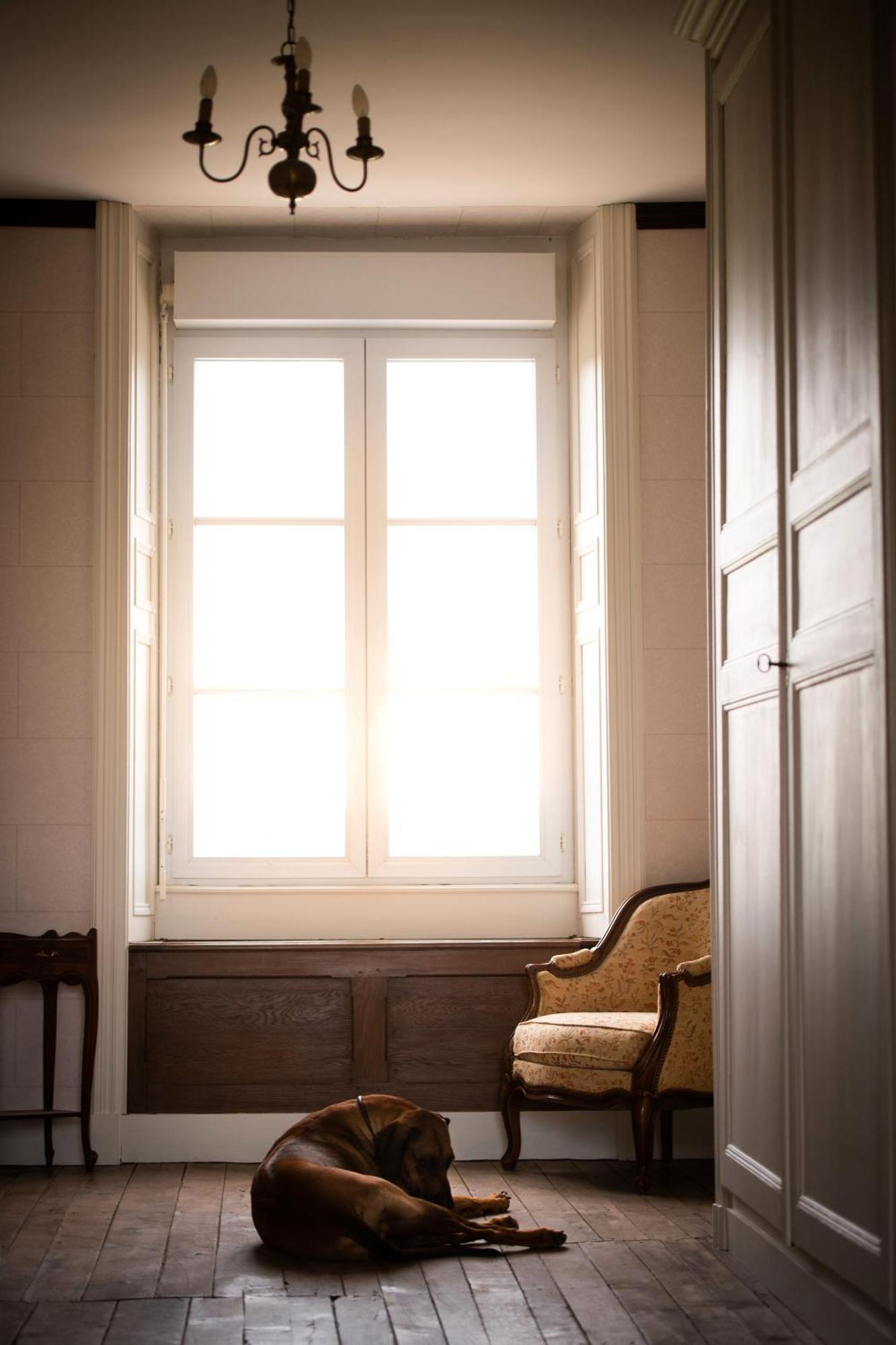 Domaine De La Briouse Bed & Breakfast Sanxay Exterior foto
