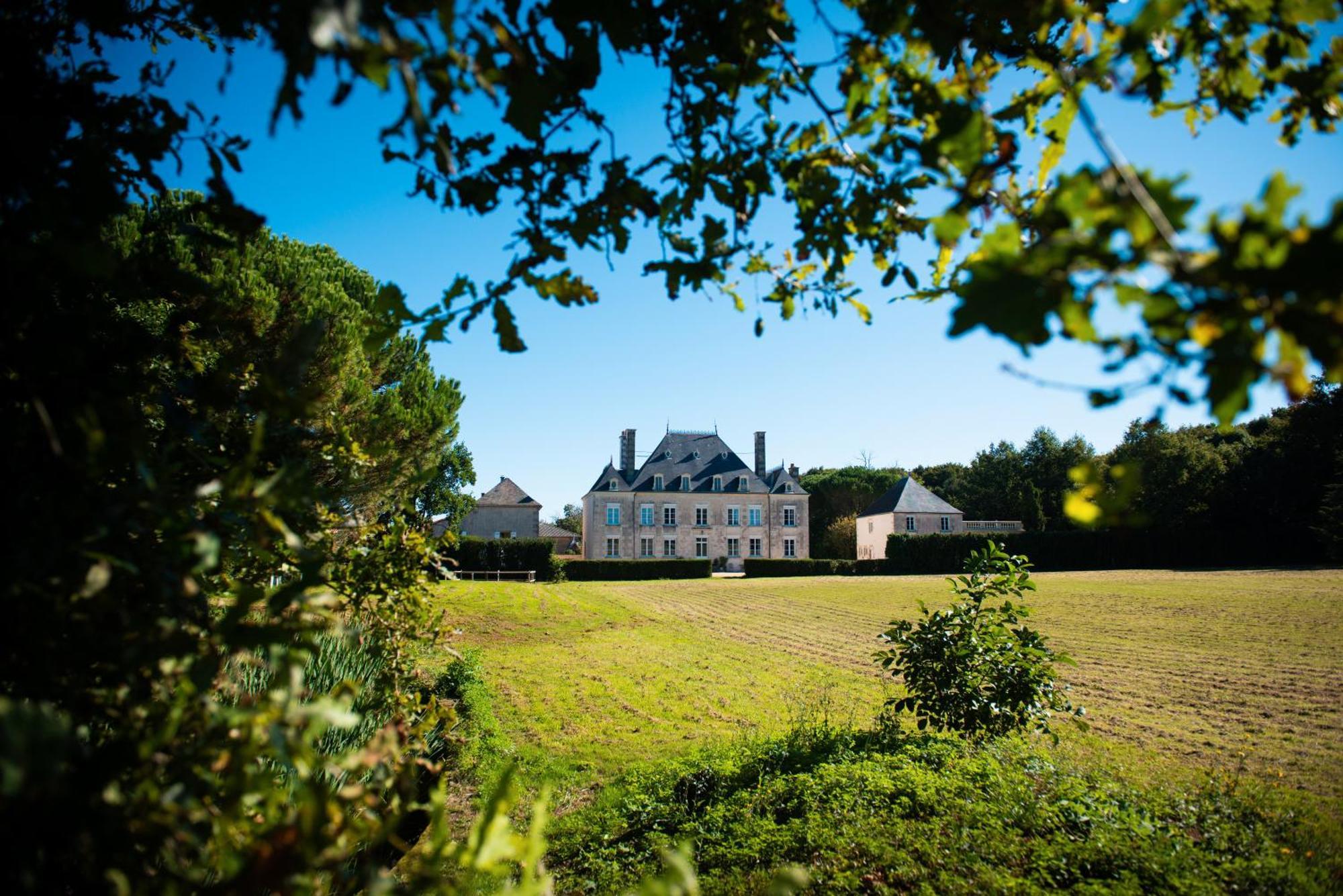 Domaine De La Briouse Bed & Breakfast Sanxay Exterior foto