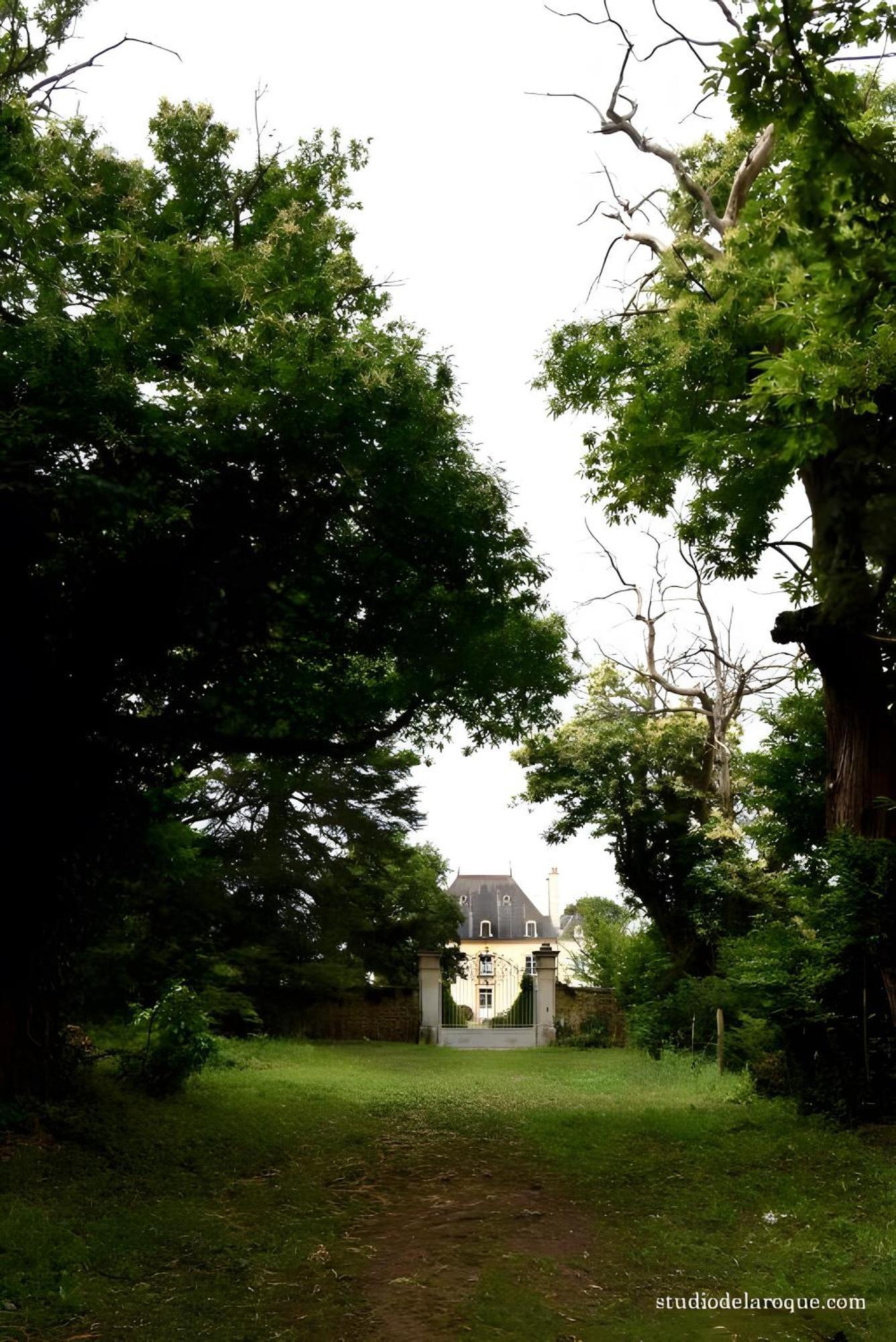 Domaine De La Briouse Bed & Breakfast Sanxay Exterior foto