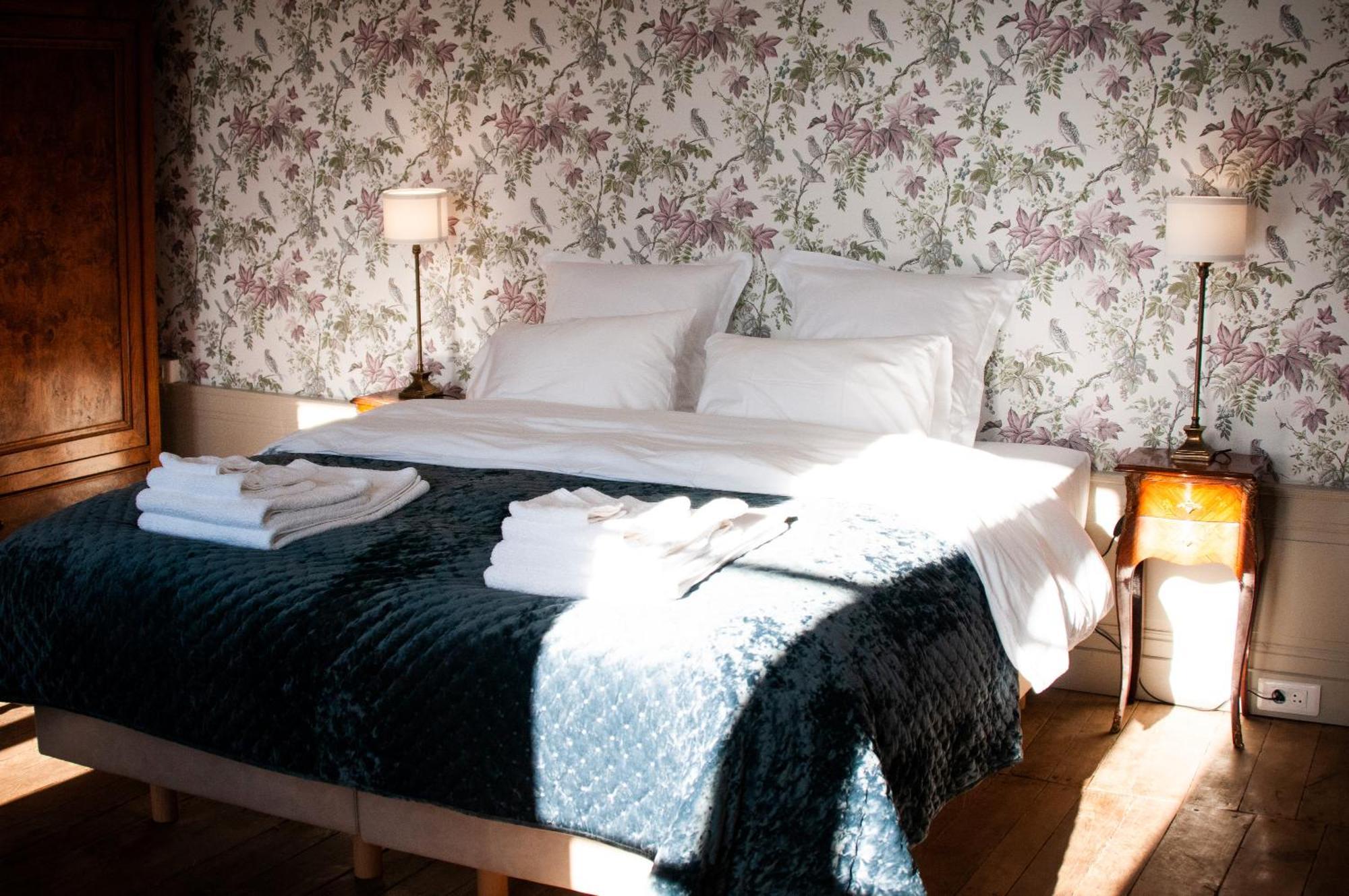 Domaine De La Briouse Bed & Breakfast Sanxay Exterior foto