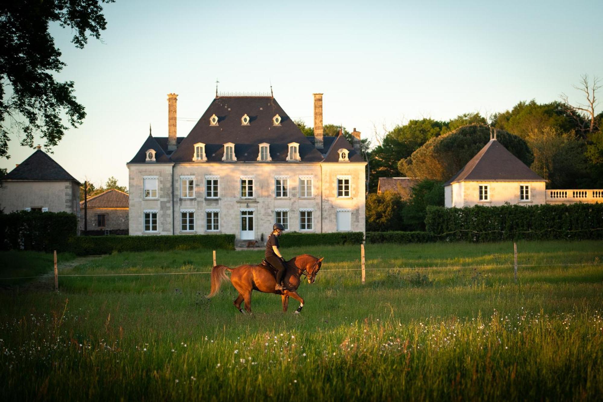 Domaine De La Briouse Bed & Breakfast Sanxay Exterior foto