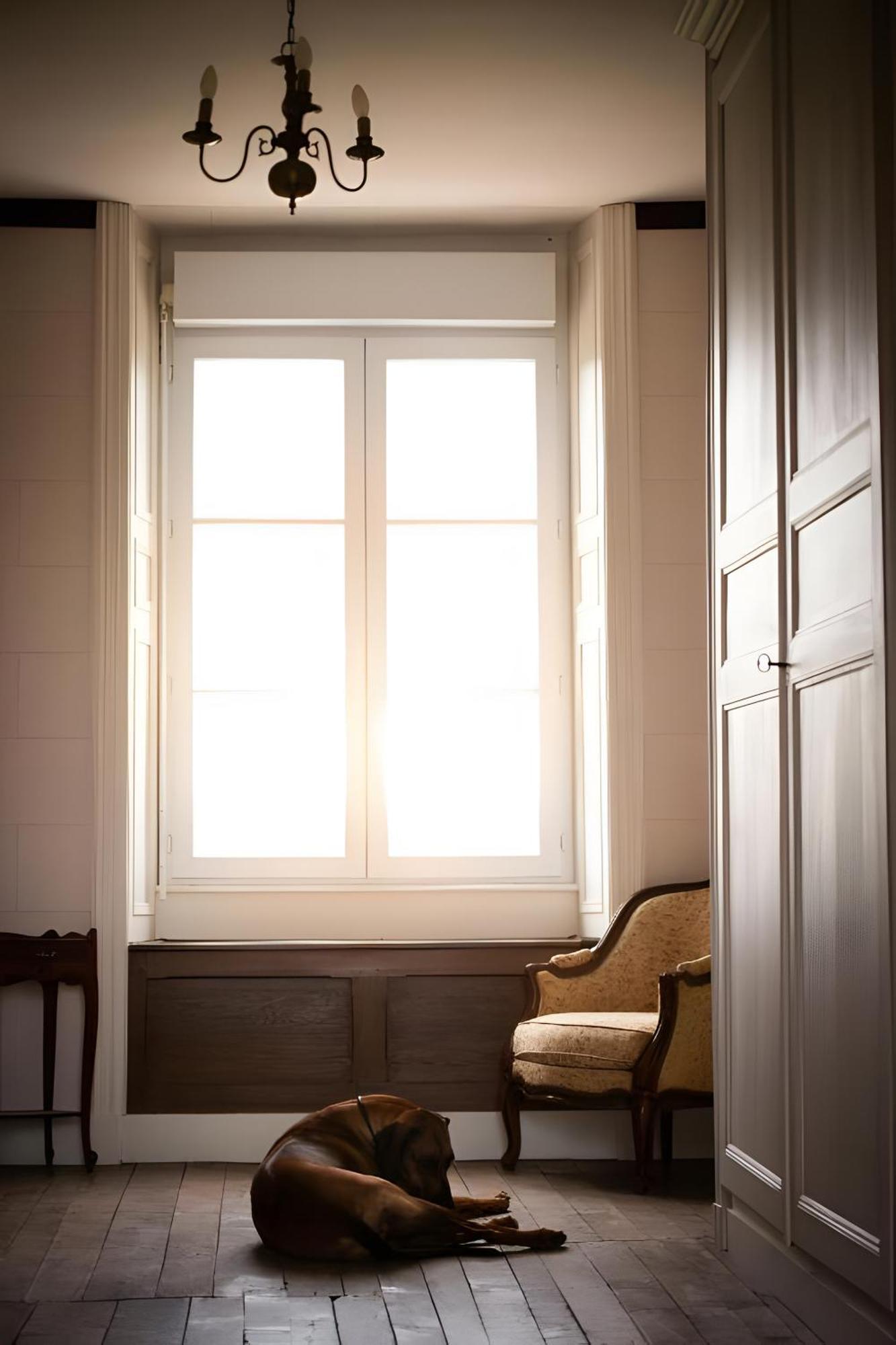 Domaine De La Briouse Bed & Breakfast Sanxay Exterior foto