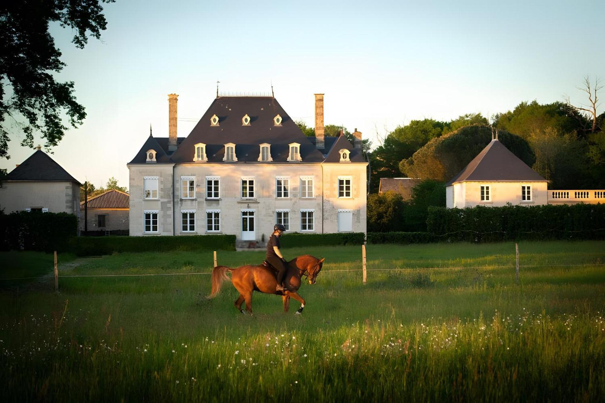 Domaine De La Briouse Bed & Breakfast Sanxay Exterior foto