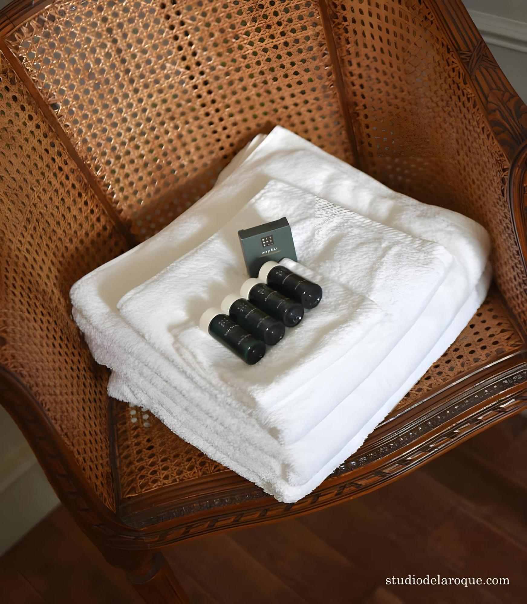 Domaine De La Briouse Bed & Breakfast Sanxay Exterior foto